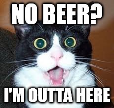 catsuprised | NO BEER? I'M OUTTA HERE | image tagged in catsuprised | made w/ Imgflip meme maker