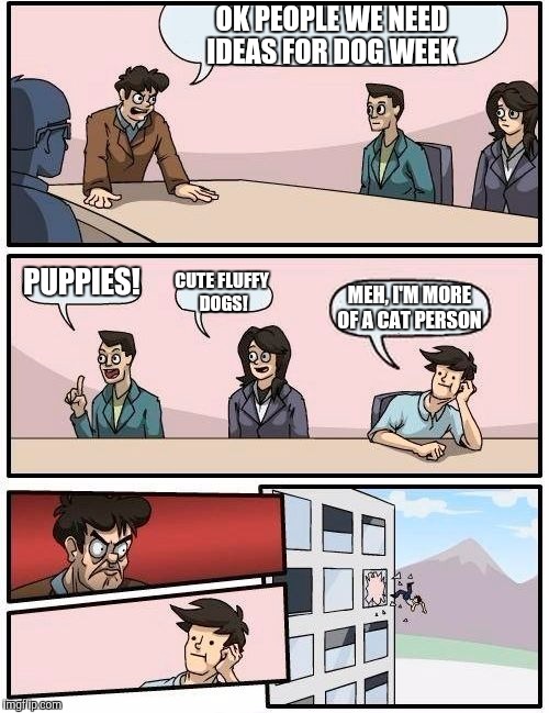 There are no cat people during dog week... | OK PEOPLE WE NEED IDEAS FOR DOG WEEK; PUPPIES! CUTE FLUFFY DOGS! MEH, I'M MORE OF A CAT PERSON | image tagged in memes,boardroom meeting suggestion,dog week,funny | made w/ Imgflip meme maker