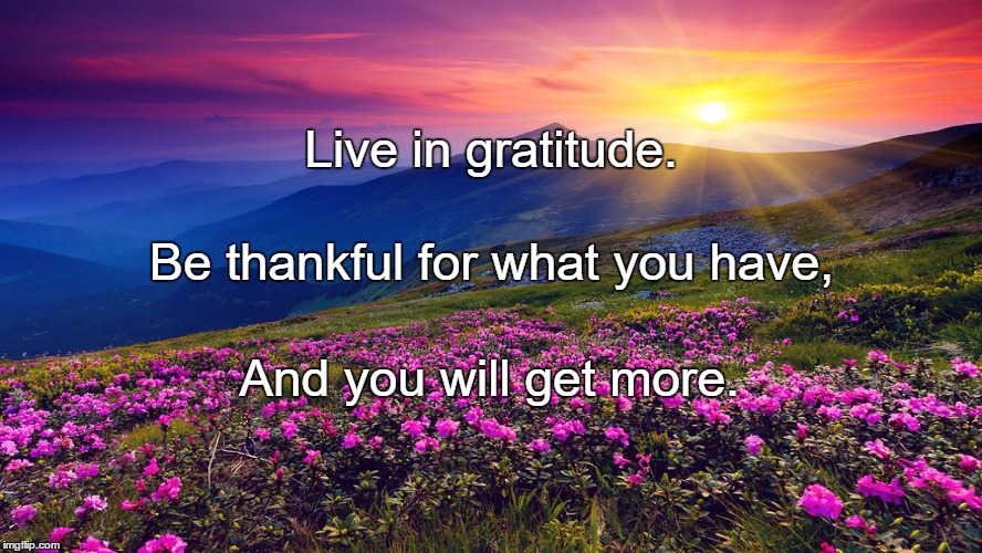 flowers | Live in gratitude. Be thankful for what you have, And you will get more. | image tagged in flowers | made w/ Imgflip meme maker
