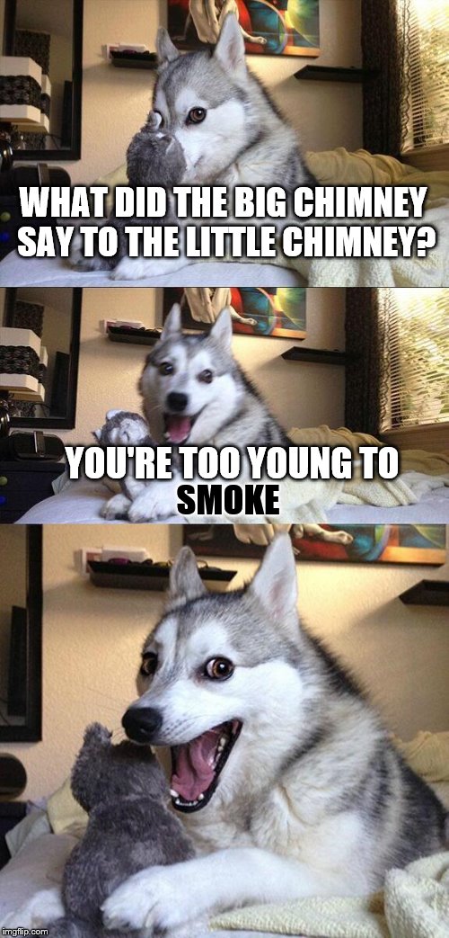 Bad Pun Dog | WHAT DID THE BIG CHIMNEY SAY TO THE LITTLE CHIMNEY? YOU'RE TOO YOUNG TO; SMOKE | image tagged in memes,bad pun dog,socialanxiiety,smoke,funny | made w/ Imgflip meme maker