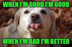 WHEN I'M GOOD I'M GOOD WHEN I'M BAD I'M BETTER | made w/ Imgflip meme maker