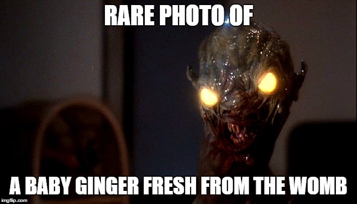 baby ginger chud | RARE PHOTO OF; A BABY GINGER FRESH FROM THE WOMB | image tagged in ginger,dumb ginger,gingerlicious | made w/ Imgflip meme maker