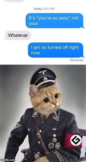 Fuk the catgirls - Meme by GrammarHitler :) Memedroid