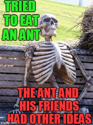 Waiting Skeleton Meme | TRIED TO EAT AN ANT THE ANT AND HIS FRIENDS HAD OTHER IDEAS | image tagged in memes,waiting skeleton | made w/ Imgflip meme maker