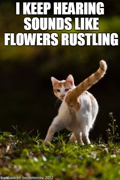 I KEEP HEARING SOUNDS LIKE FLOWERS RUSTLING | made w/ Imgflip meme maker