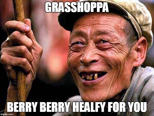 Old Chinese man | GRASSHOPPA; BERRY BERRY HEALFY FOR YOU | image tagged in old chinese man | made w/ Imgflip meme maker