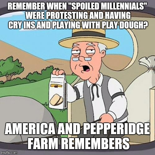 Pepperidge Farm Remembers Meme | REMEMBER WHEN "SPOILED MILLENNIALS" WERE PROTESTING AND HAVING CRY INS AND PLAYING WITH PLAY DOUGH? AMERICA AND PEPPERIDGE FARM REMEMBERS | image tagged in memes,pepperidge farm remembers | made w/ Imgflip meme maker