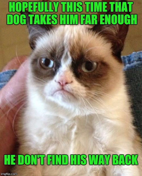 Grumpy Cat Meme | HOPEFULLY THIS TIME THAT DOG TAKES HIM FAR ENOUGH HE DON'T FIND HIS WAY BACK | image tagged in memes,grumpy cat | made w/ Imgflip meme maker