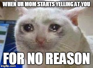 Sad cat |  WHEN UR MOM STARTS YELLING AT YOU; FOR NO REASON | image tagged in sad cat | made w/ Imgflip meme maker