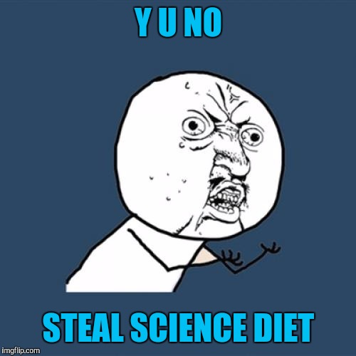 Y U No Meme | Y U NO STEAL SCIENCE DIET | image tagged in memes,y u no | made w/ Imgflip meme maker