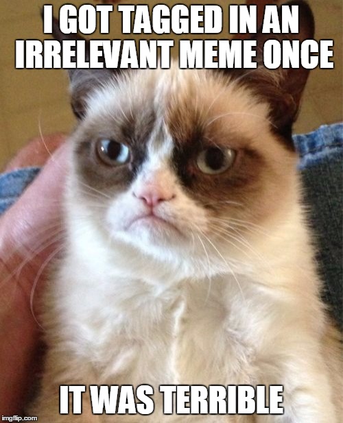 Grumpy Cat Meme | I GOT TAGGED IN AN IRRELEVANT MEME ONCE IT WAS TERRIBLE | image tagged in memes,grumpy cat | made w/ Imgflip meme maker