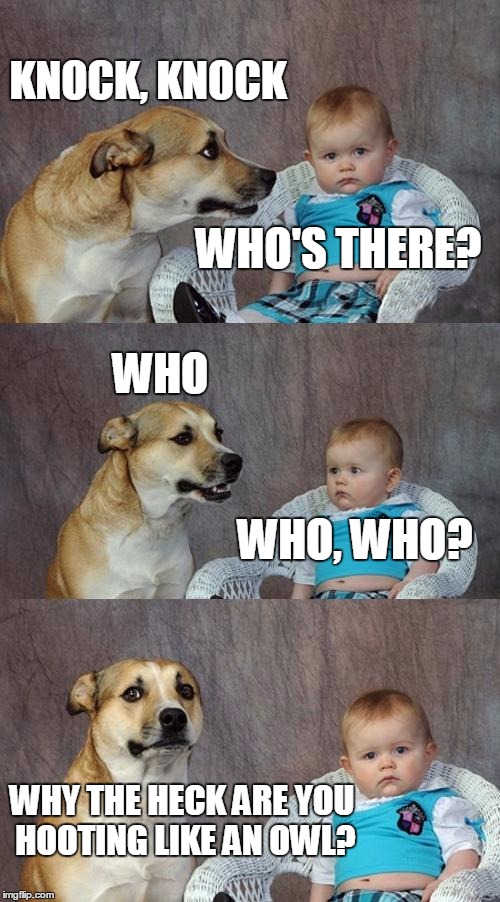 Dad Joke Dog Meme | KNOCK, KNOCK; WHO'S THERE? WHO; WHO, WHO? WHY THE HECK ARE YOU HOOTING LIKE AN OWL? | image tagged in memes,dad joke dog | made w/ Imgflip meme maker