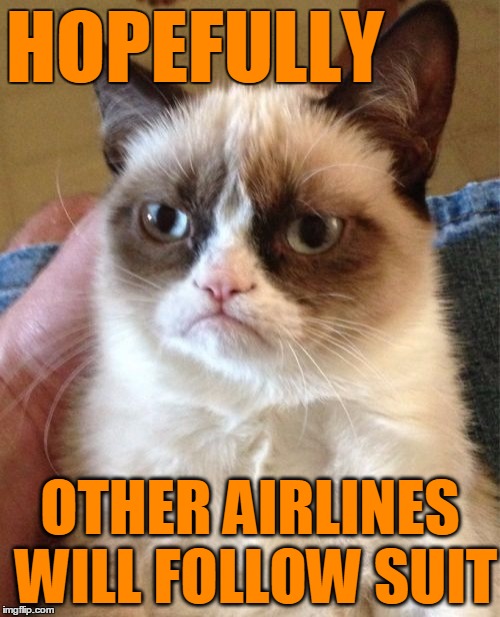 Grumpy Cat Meme | HOPEFULLY OTHER AIRLINES WILL FOLLOW SUIT | image tagged in memes,grumpy cat | made w/ Imgflip meme maker