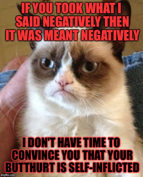 Just STFU and do the job | IF YOU TOOK WHAT I SAID NEGATIVELY THEN IT WAS MEANT NEGATIVELY; I DON'T HAVE TIME TO CONVINCE YOU THAT YOUR BUTTHURT IS SELF-INFLICTED | image tagged in memes,grumpy cat | made w/ Imgflip meme maker