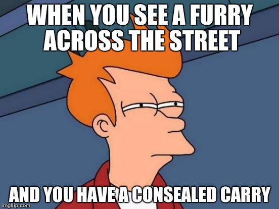 Futurama Fry Meme | WHEN YOU SEE A FURRY ACROSS THE STREET; AND YOU HAVE A CONSEALED CARRY | image tagged in memes,futurama fry | made w/ Imgflip meme maker
