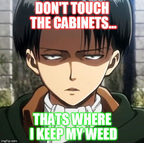 Levi's weed addiction | DON'T TOUCH THE CABINETS... THATS WHERE I KEEP MY WEED | image tagged in levi,attack on titan,wtf,weed,smoke weed everyday | made w/ Imgflip meme maker