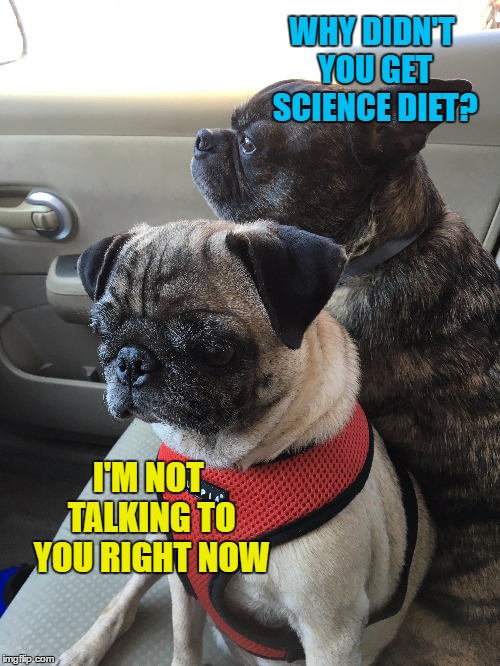WHY DIDN'T YOU GET SCIENCE DIET? I'M NOT TALKING TO YOU RIGHT NOW | made w/ Imgflip meme maker