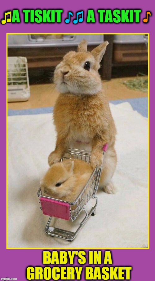 Couldn't Go Shopping without my Bunny | ♪; ♪♫; ♫A TISKIT ♪♫ A TASKIT ♪; ♫; BABY'S IN A GROCERY BASKET | image tagged in vince vance,happy easter,bunnies,baby bunny in grocery basket,a tisket a tasket | made w/ Imgflip meme maker