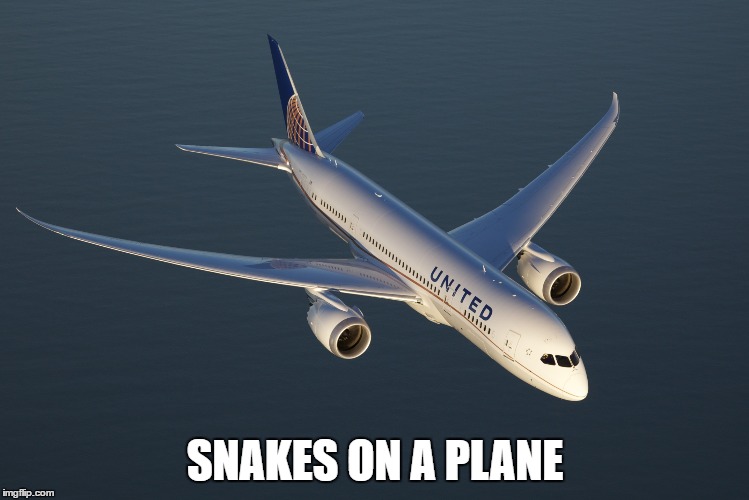 image tagged in united airlines,united | made w/ Imgflip meme maker
