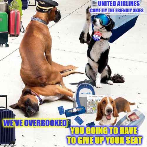 Come fly the friendly skies with United Airlines. Going to dog week!  | UNITED AIRLINES; COME FLY THE FRIENDLY SKIES; WE'VE OVERBOOKED; YOU GOING TO HAVE TO GIVE UP YOUR SEAT | image tagged in dog week,united airlines,airport,memes,dog memes | made w/ Imgflip meme maker