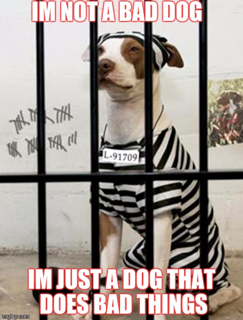 Dog In Prison |  IM NOT A BAD DOG; IM JUST A DOG THAT DOES BAD THINGS | image tagged in dog in prison | made w/ Imgflip meme maker