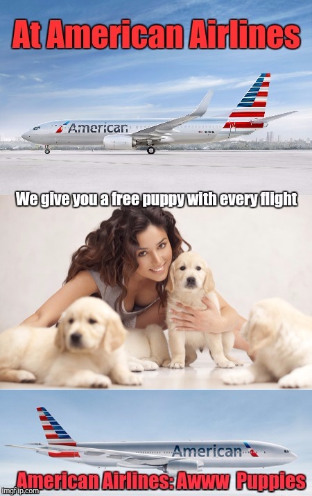 A United - Dog Week - Cleavage Week crossover | S | image tagged in united airlines,dog week,cleavage week | made w/ Imgflip meme maker