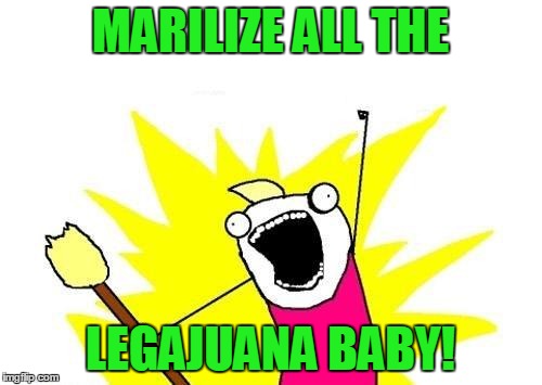 X All The Y Meme | MARILIZE ALL THE LEGAJUANA BABY! | image tagged in memes,x all the y | made w/ Imgflip meme maker