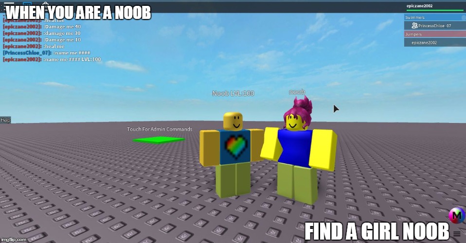 WHEN YOU ARE A NOOB; FIND A GIRL NOOB | image tagged in newbie love | made w/ Imgflip meme maker