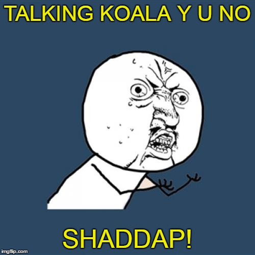 Y U No Meme | TALKING KOALA Y U NO SHADDAP! | image tagged in memes,y u no | made w/ Imgflip meme maker