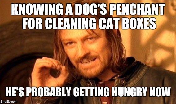 One Does Not Simply Meme | KNOWING A DOG'S PENCHANT FOR CLEANING CAT BOXES HE'S PROBABLY GETTING HUNGRY NOW | image tagged in memes,one does not simply | made w/ Imgflip meme maker