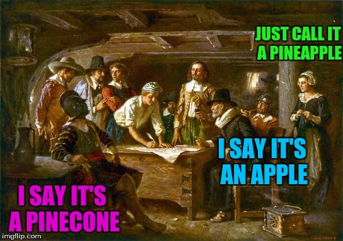 I SAY IT'S AN APPLE I SAY IT'S A PINECONE JUST CALL IT A PINEAPPLE | made w/ Imgflip meme maker