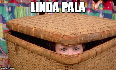 Hiding  | LINDA PALA | image tagged in hiding | made w/ Imgflip meme maker
