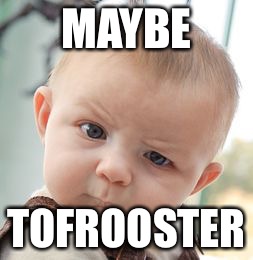Skeptical Baby Meme | MAYBE TOFROOSTER | image tagged in memes,skeptical baby | made w/ Imgflip meme maker