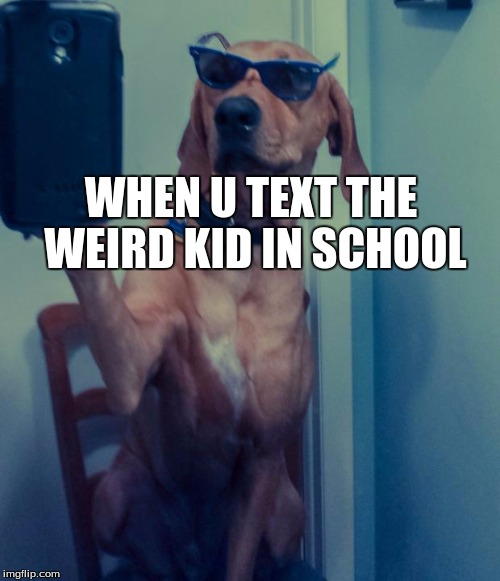 dogselfie | WHEN U TEXT THE WEIRD KID IN SCHOOL | image tagged in dogselfie | made w/ Imgflip meme maker