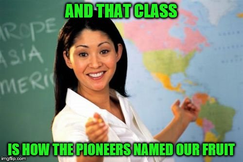 AND THAT CLASS IS HOW THE PIONEERS NAMED OUR FRUIT | made w/ Imgflip meme maker