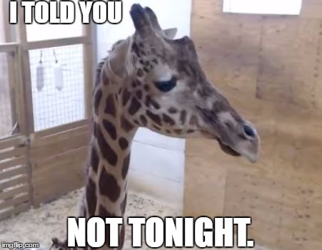 I TOLD YOU. | I TOLD YOU; NOT TONIGHT. | image tagged in april the giraffe,giraffe | made w/ Imgflip meme maker