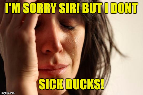 First World Problems Meme | I'M SORRY SIR! BUT I DONT SICK DUCKS! | image tagged in memes,first world problems | made w/ Imgflip meme maker
