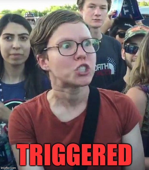 TRIGGERED | made w/ Imgflip meme maker