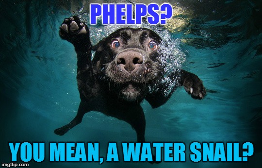 PHELPS? YOU MEAN, A WATER SNAIL? | made w/ Imgflip meme maker