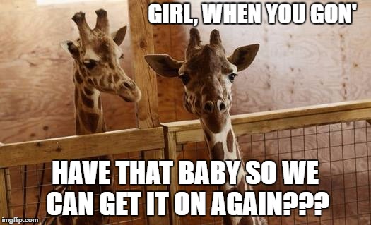 LET'S GET IT ON...AGAIN! | GIRL, WHEN YOU GON'; HAVE THAT BABY SO WE CAN GET IT ON AGAIN??? | image tagged in april,oliver | made w/ Imgflip meme maker