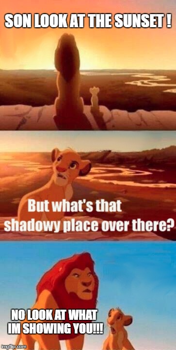 parents in a nutshell | SON LOOK AT THE SUNSET
! NO LOOK AT WHAT IM SHOWING YOU!!! | image tagged in memes,simba,lion king | made w/ Imgflip meme maker