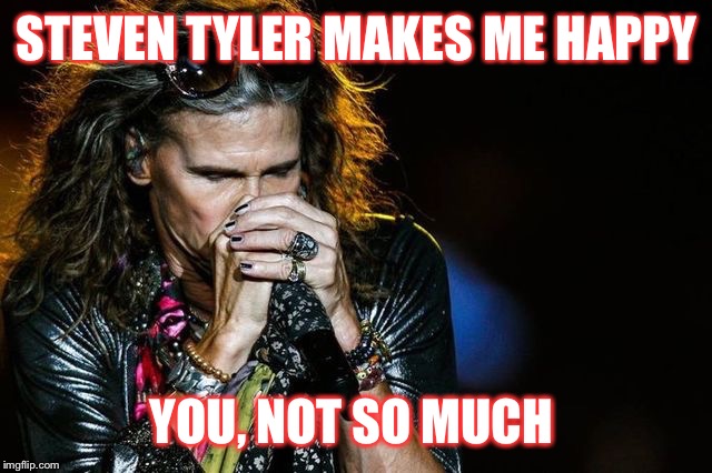 STEVEN TYLER MAKES ME HAPPY; YOU, NOT SO MUCH | image tagged in steve | made w/ Imgflip meme maker