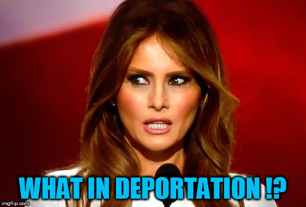 Melania trump  | WHAT IN DEPORTATION !? | image tagged in melania trump,deportation,what in tarnation,illegal aliens,illegal immigrant,illegal alien | made w/ Imgflip meme maker