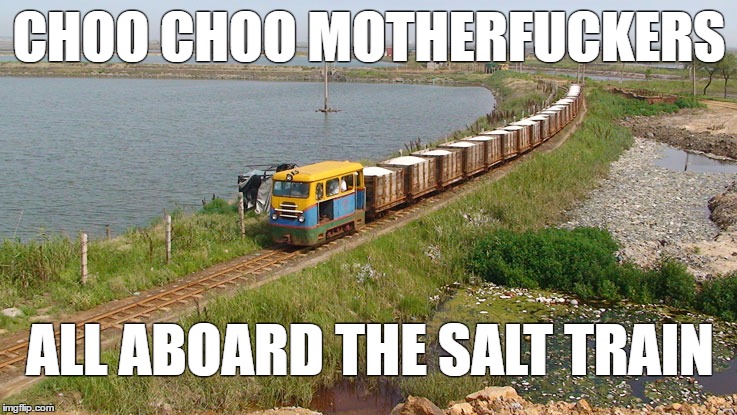 Image result for All aboard the salt train