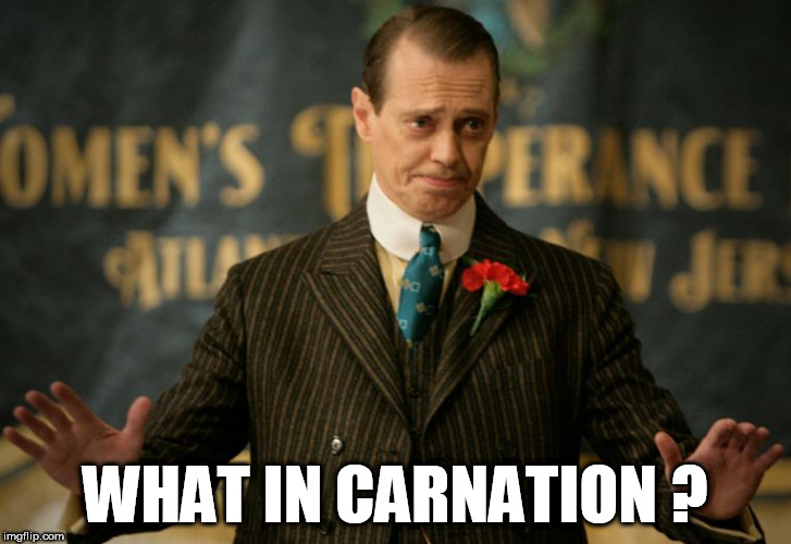 WHAT IN CARNATION ? | image tagged in carnation,what in tarnation,what in tarnation week,steve buscemi,tarnation,what-in-tarnation | made w/ Imgflip meme maker