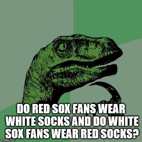 Philosoraptor Meme | DO RED SOX FANS WEAR WHITE SOCKS AND DO WHITE SOX FANS WEAR RED SOCKS? | image tagged in memes,philosoraptor | made w/ Imgflip meme maker