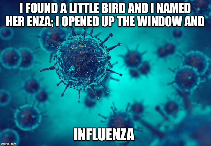 My friend's sister's project slogan   | I FOUND A LITTLE BIRD AND I NAMED HER ENZA; I OPENED UP THE WINDOW AND; INFLUENZA | image tagged in memes | made w/ Imgflip meme maker