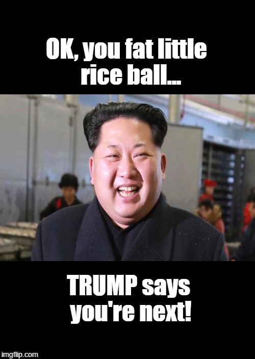 Fat Little Rice Ball | OK, you fat little  rice ball... TRUMP says you're next! | image tagged in riceball,fat,dick tater,dictator | made w/ Imgflip meme maker