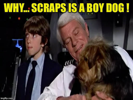 WHY... SCRAPS IS A BOY DOG ! | made w/ Imgflip meme maker