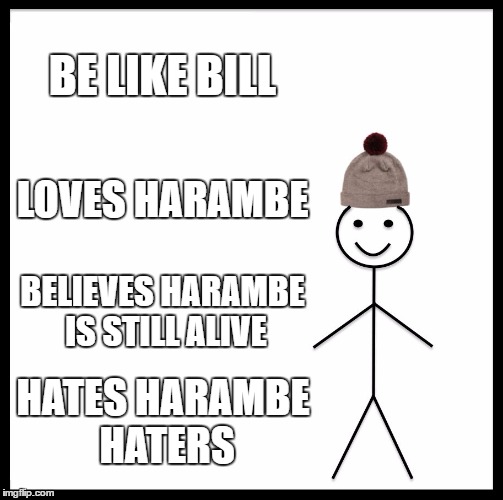Be Like Bill Meme | BE LIKE BILL; LOVES HARAMBE; BELIEVES HARAMBE IS STILL ALIVE; HATES HARAMBE HATERS | image tagged in memes,be like bill | made w/ Imgflip meme maker